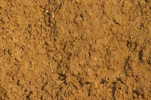 ½″ Screened Loam